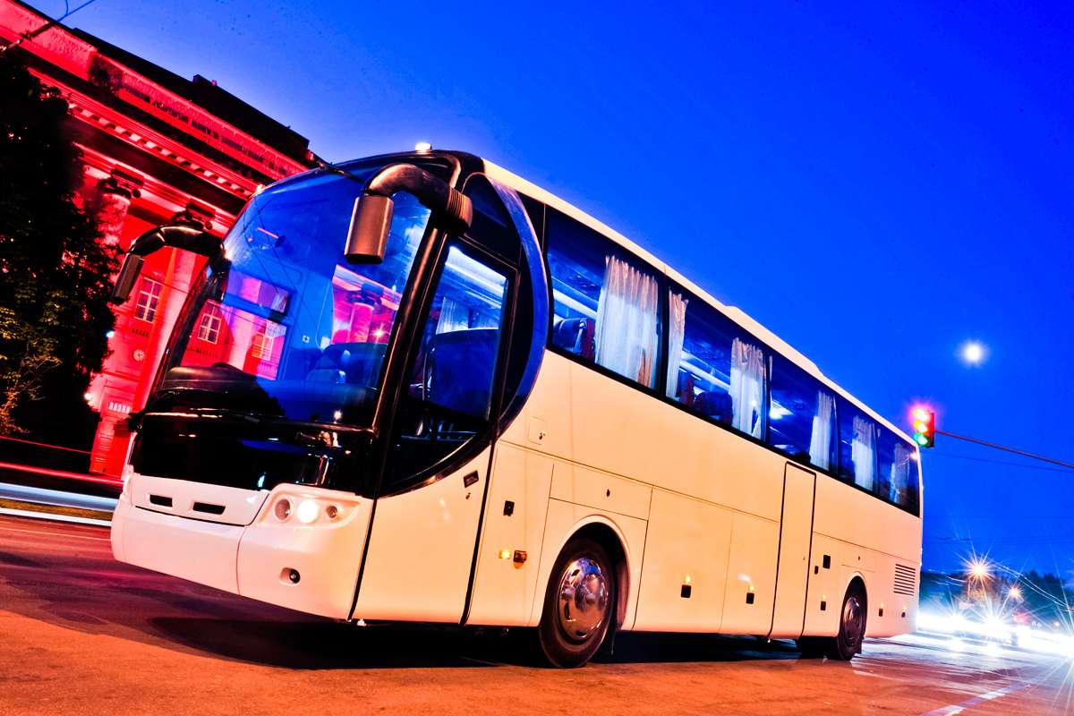 Viaggia in Bus Viaggia in Bus